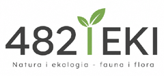 482 EKI