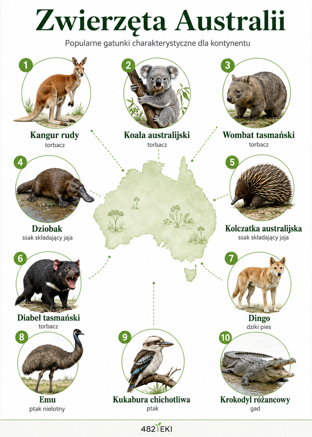 Zwierzęta Australii